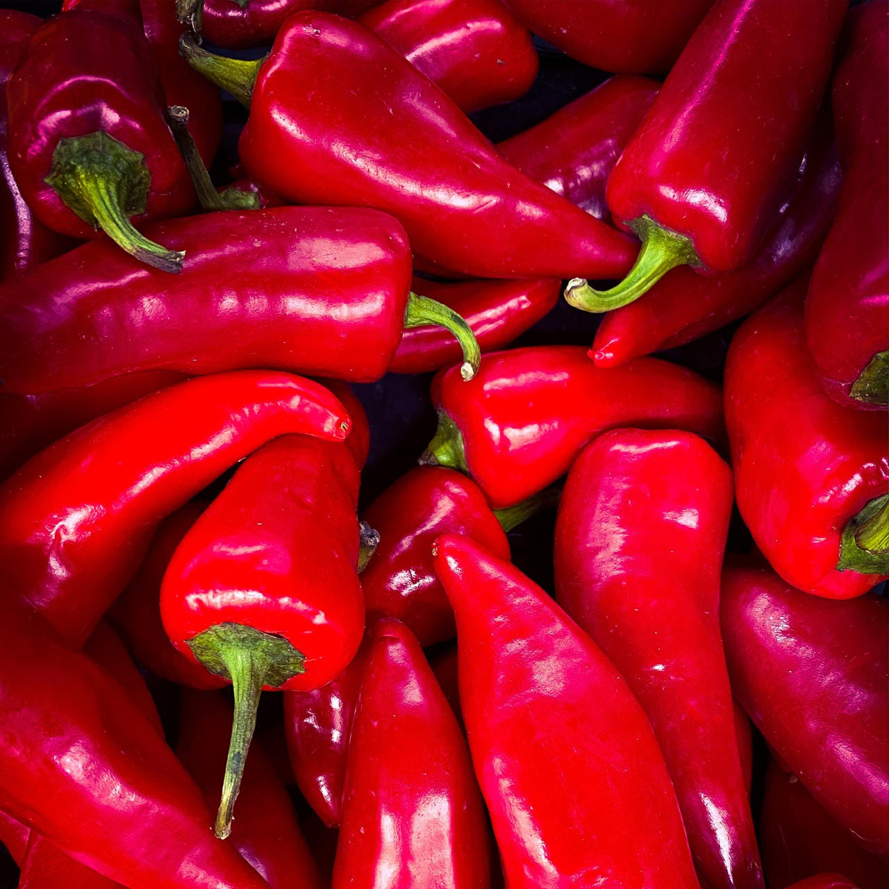 Chili Pepper Fresno