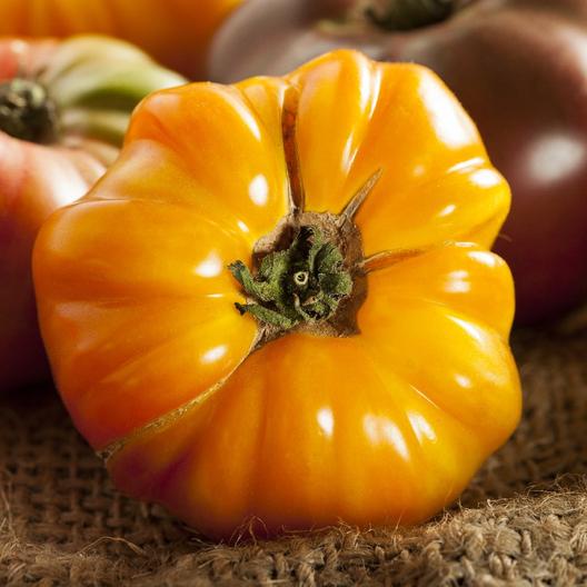 Tomato Orange Amana