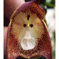 Orchid Monkey Face Purple dots.